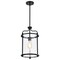 Nuvo Yorktown 1-Light Pendant - Matte Black Finish - Clear Glass 60/7945 - alternate 4